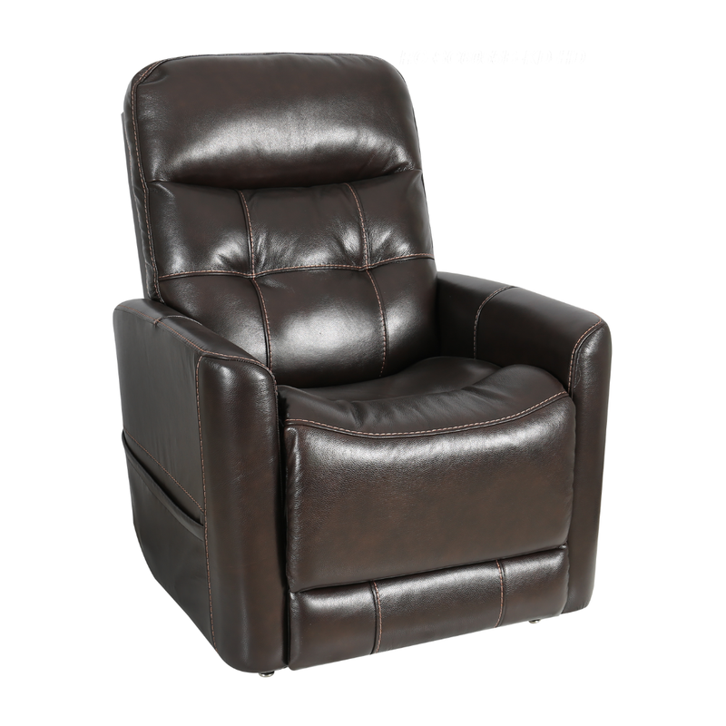 Theorem Ealing Lift and Recline Chair